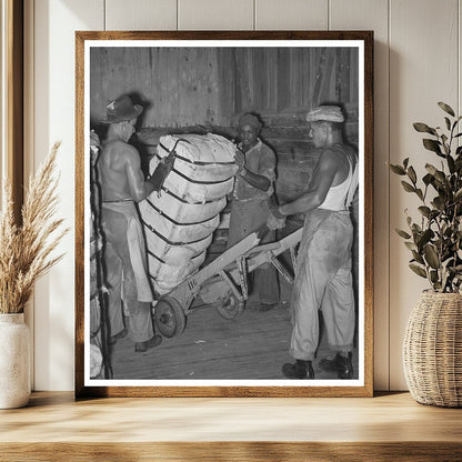 Worker Unloading Cotton Bale in Houston Texas 1939
