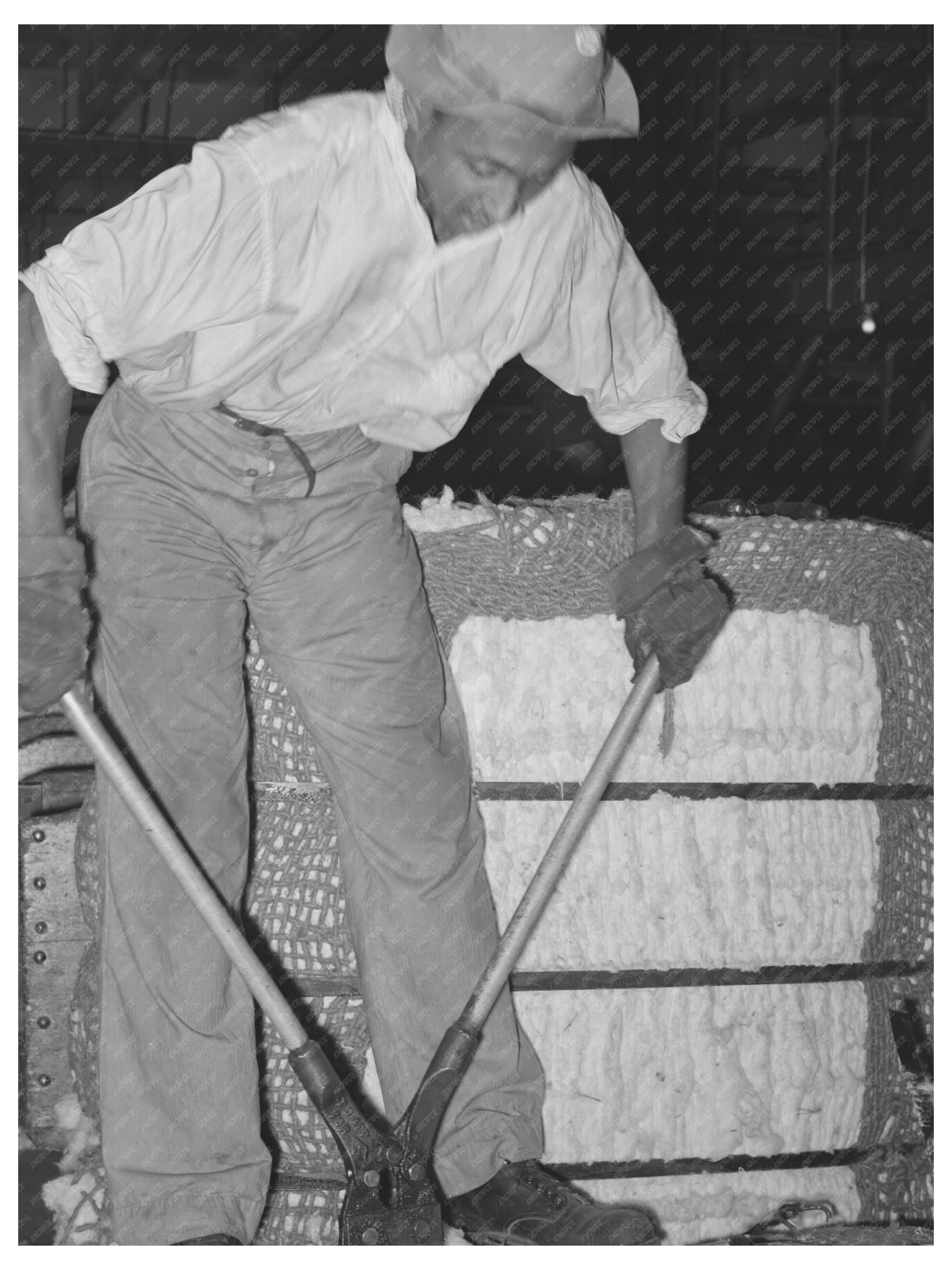 Workers Snipping Metal Bands from Cotton Bales 1939