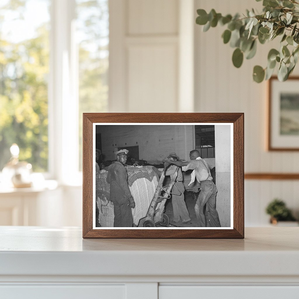 1939 Cotton Loading Process in Houston Texas