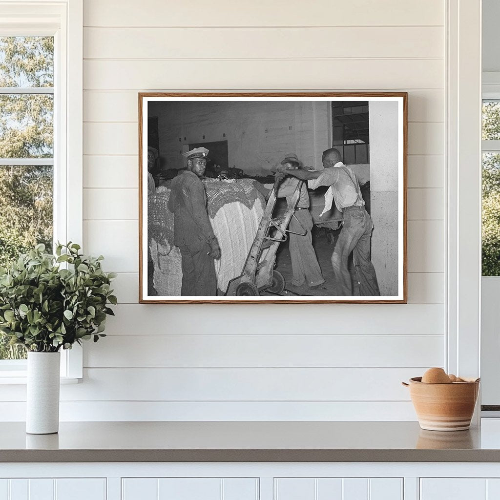 1939 Cotton Loading Process in Houston Texas