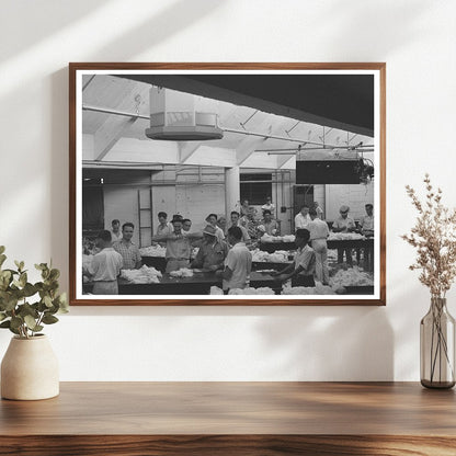 Sampling and Grading Cotton in Houston Texas 1939