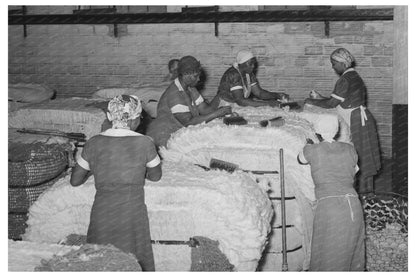 Women Cleaning Cotton Bales Houston Texas 1939