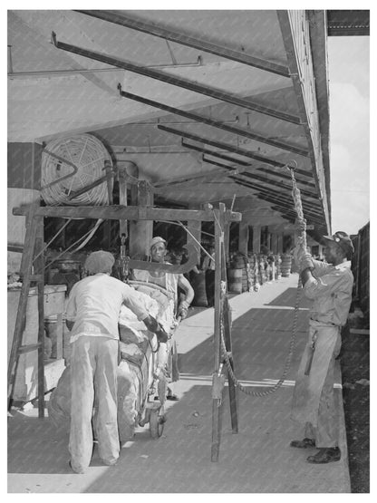 Workers Weighing Cotton at Harris County Platform 1939