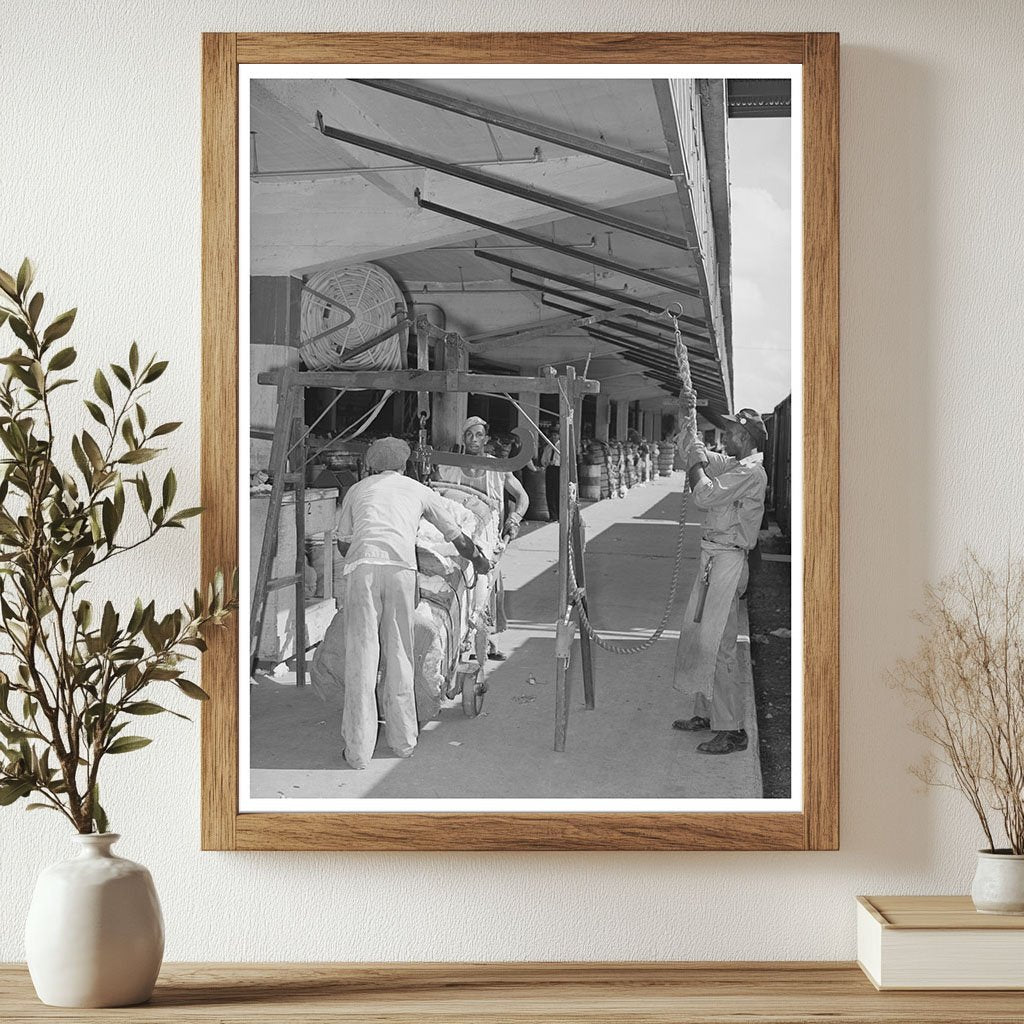 Workers Weighing Cotton at Harris County Platform 1939