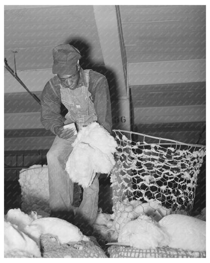 Workers Tagging Cotton Samples Houston Texas October 1939