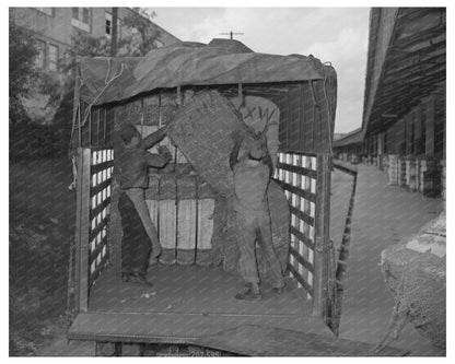 Cotton Truck Unloading at Houston Compress Facility 1939