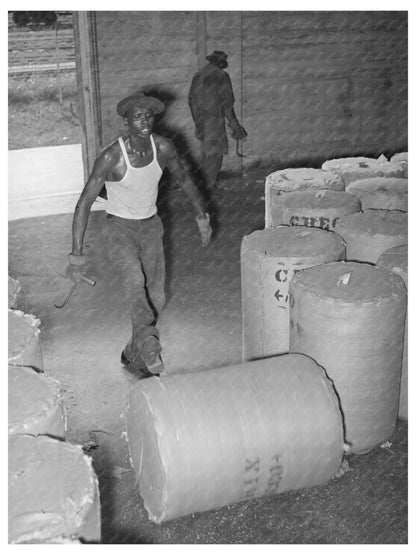 Rolling Round Bale of Cotton Houston Texas October 1939