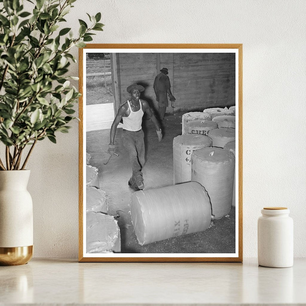 Rolling Round Bale of Cotton Houston Texas October 1939