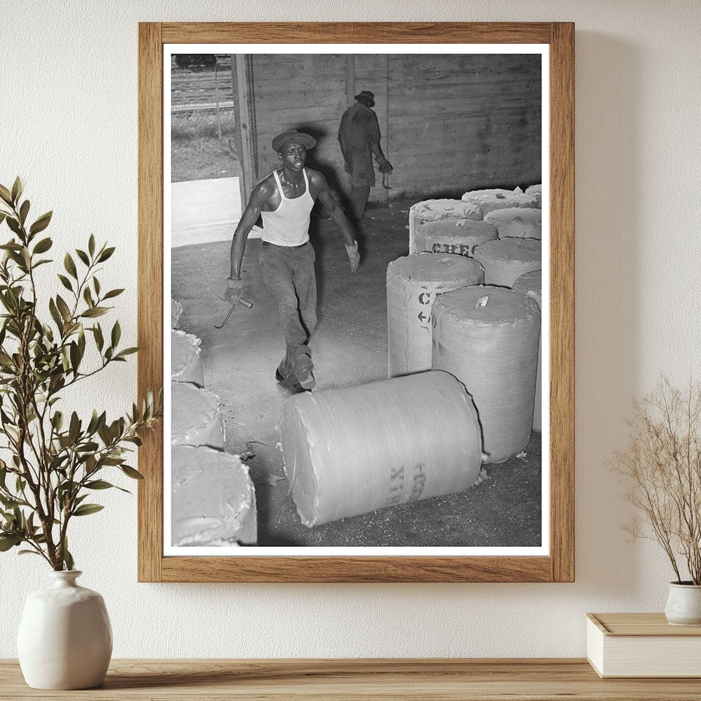 Rolling Round Bale of Cotton Houston Texas October 1939