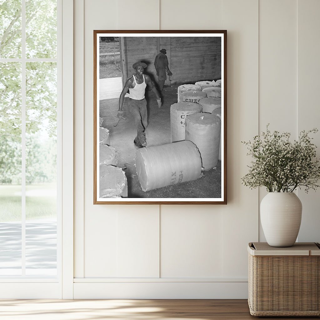 Rolling Round Bale of Cotton Houston Texas October 1939