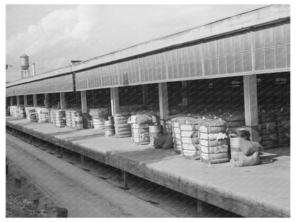 Houston Compression Facility Loading Dock October 1939