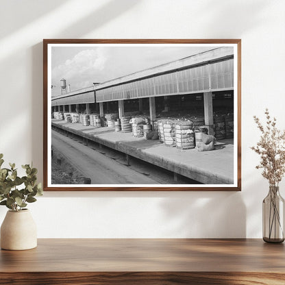 Houston Compress Facility Loading Dock October 1939