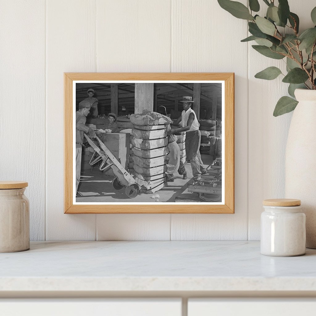 Cotton Loading in Houston Texas October 1939