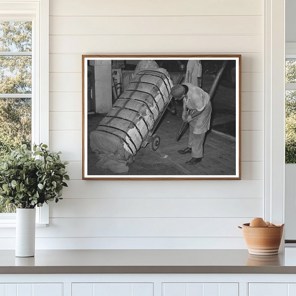 Worker Handling Cotton Bale in Houston Texas 1939