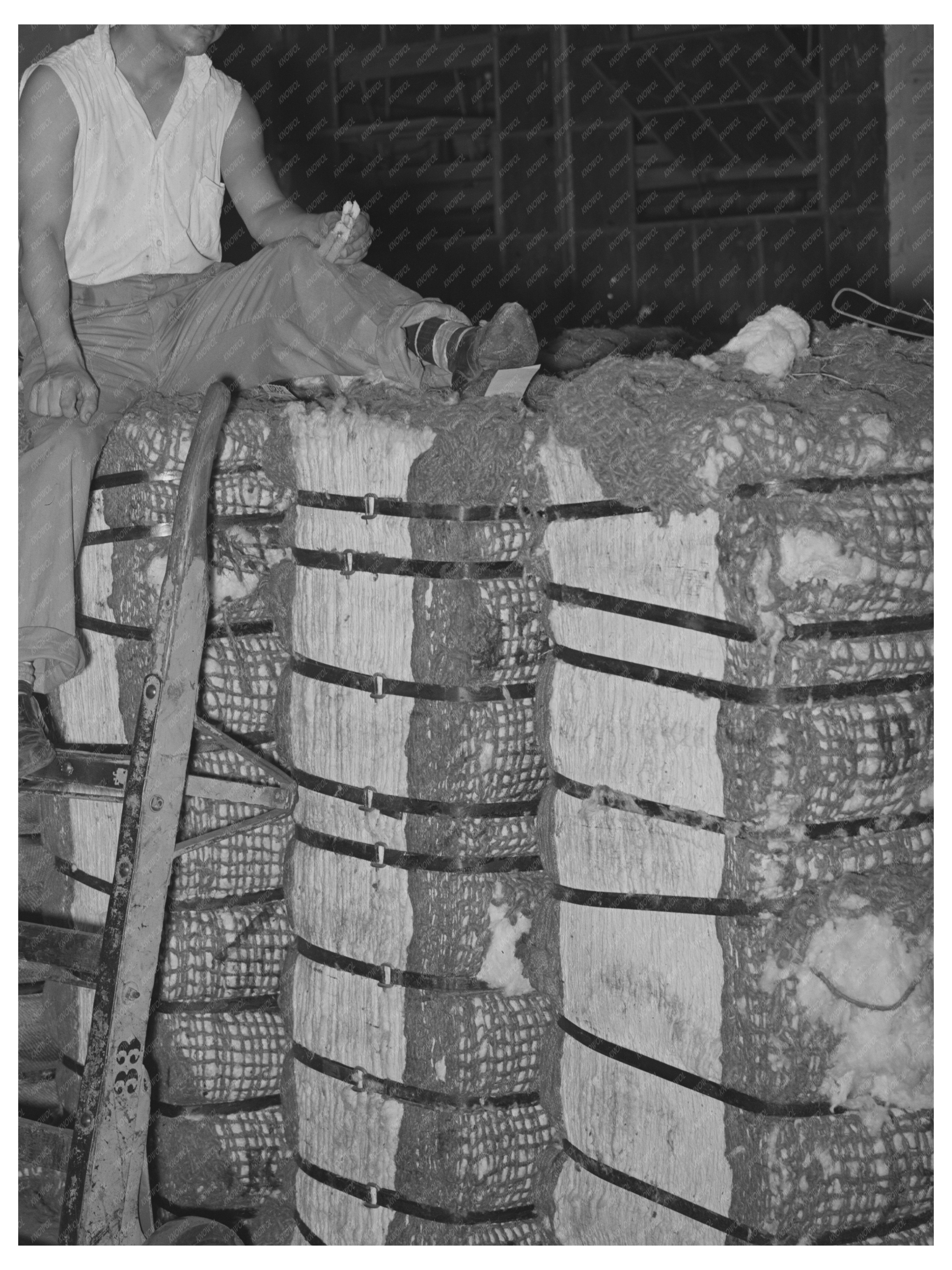 Mexican Trucker on Cotton Bales Houston Texas 1939