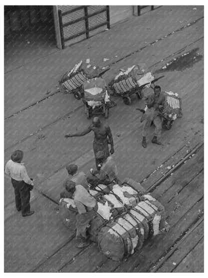 Longshoremen at Houston Cotton Docks October 1939