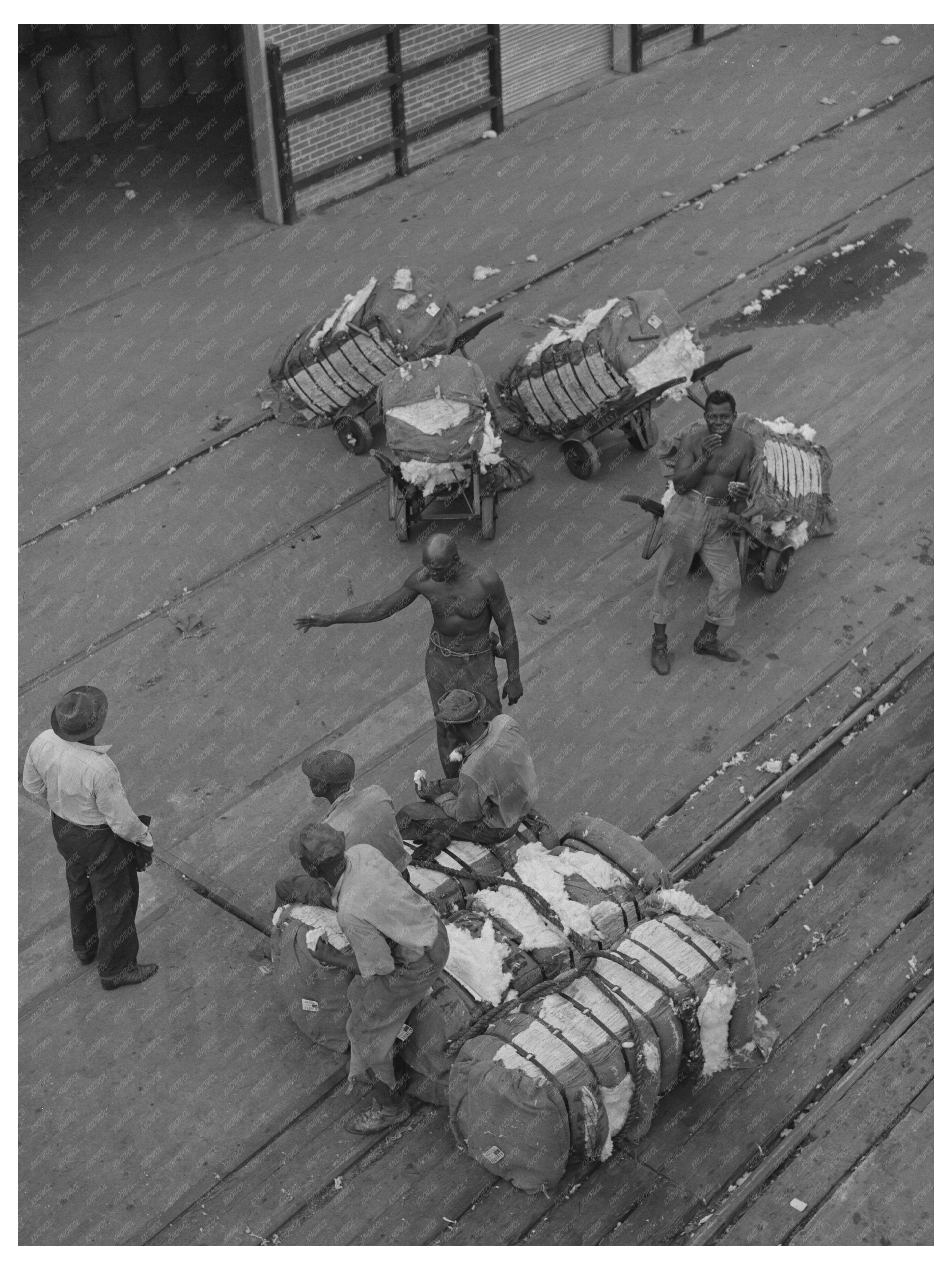 Longshoremen at Port of Houston Cotton Docks 1939