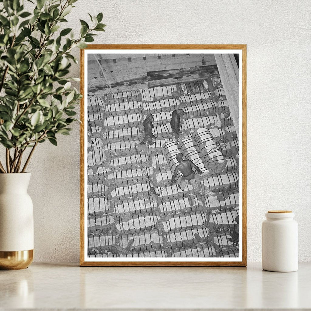 Cotton Bales Storage in Freighter Port of Houston 1939