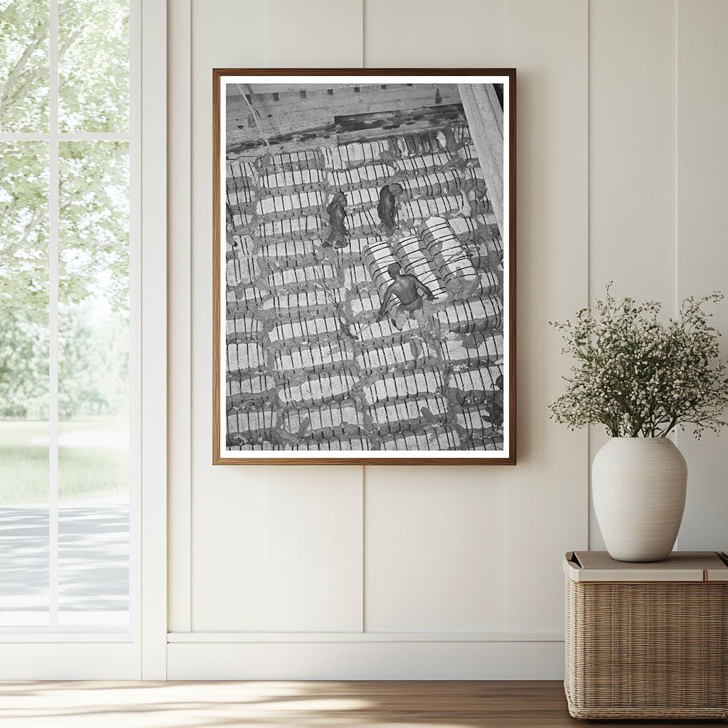 Cotton Bales Stored for Export at Port of Houston 1939