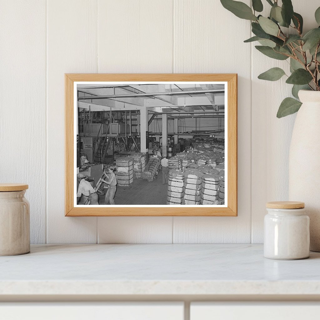 1939 Houston Cotton Compress Warehouse Interior Image