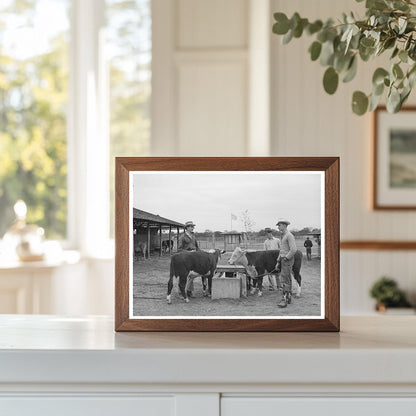 4-H Boys with Steers at Gonzales County Fair 1939