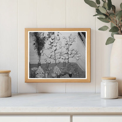 Gonzales County Fair Agricultural Exhibits 1939