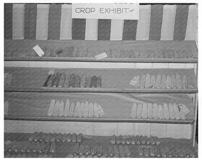 4-H Club Boys at Gonzales County Fair Texas 1939