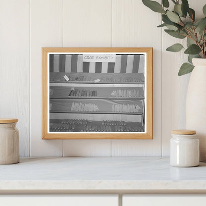 4-H Club Boys at Gonzales County Fair Texas 1939