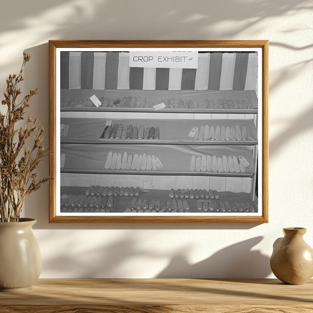 4-H Club Boys at Gonzales County Fair Texas 1939