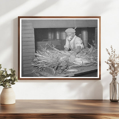 Worker Collecting Fodder in Taylor Texas 1939