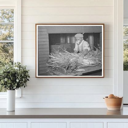 Worker Collecting Fodder in Taylor Texas 1939
