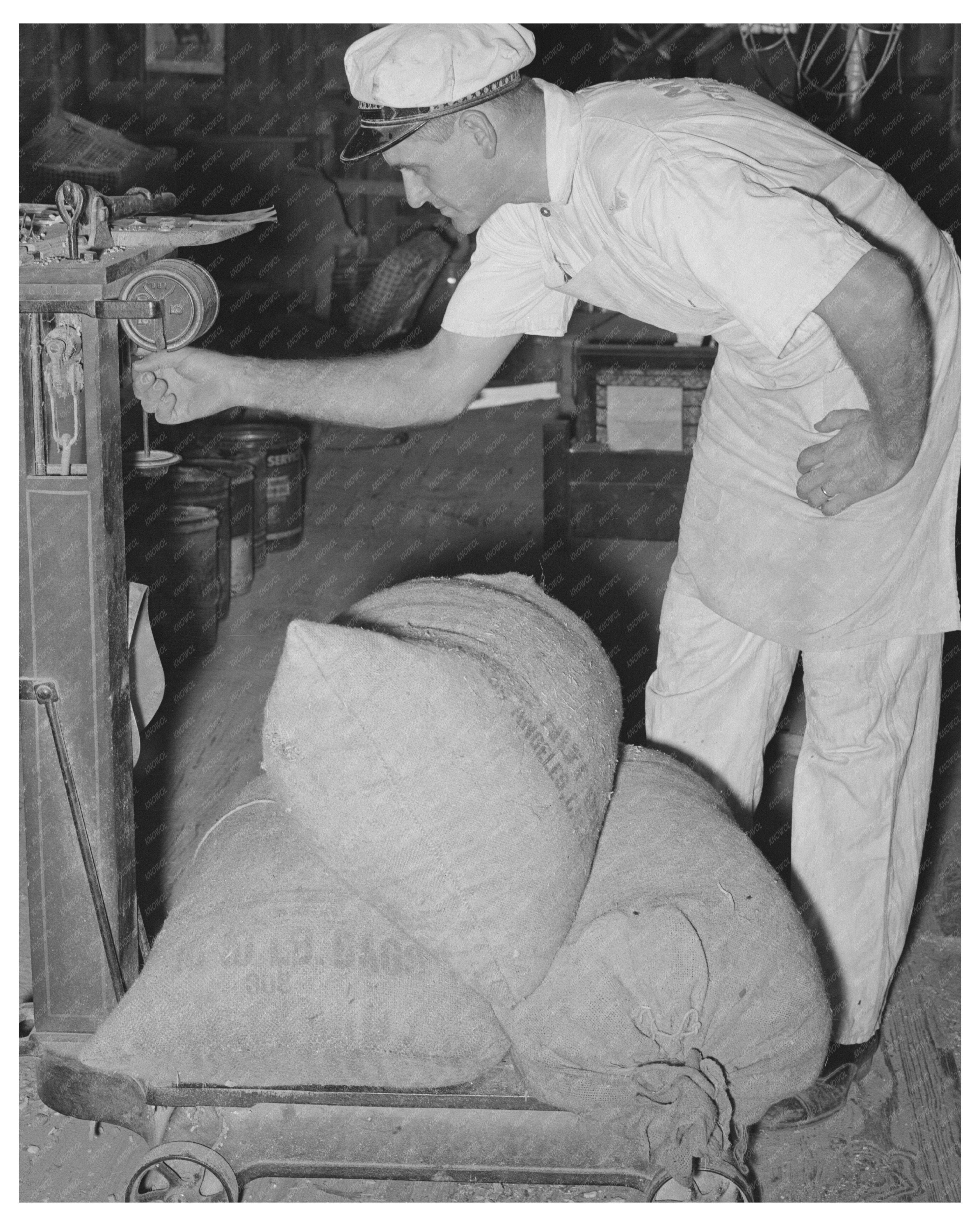 Feed Mill Owner Weighing Feed Sacks Taylor Texas 1939