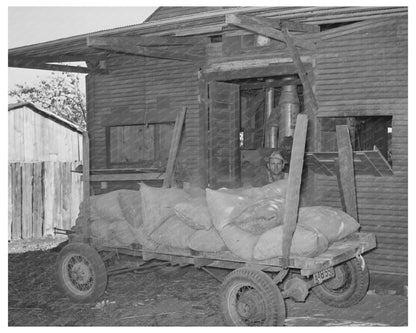 Farmer Unloading Corn at Texas Feed Mill 1939