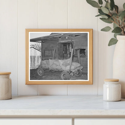 Farmer Unloading Corn at Texas Feed Mill 1939