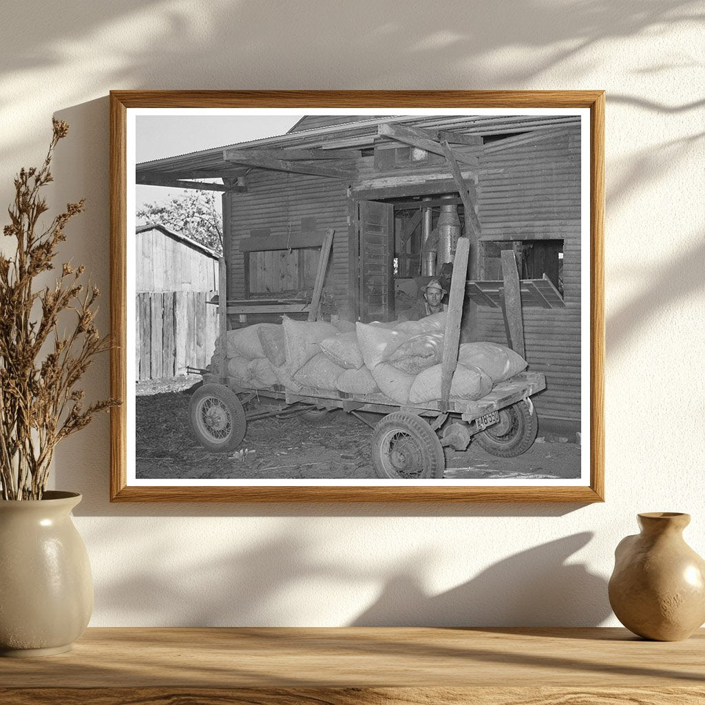 Farmer Unloading Corn at Texas Feed Mill 1939