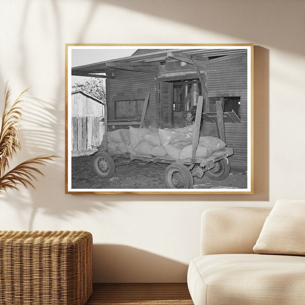 Farmer Unloading Corn at Texas Feed Mill 1939