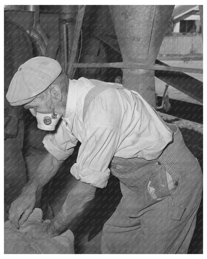 Worker in Feed Mill Taylor Texas 1939