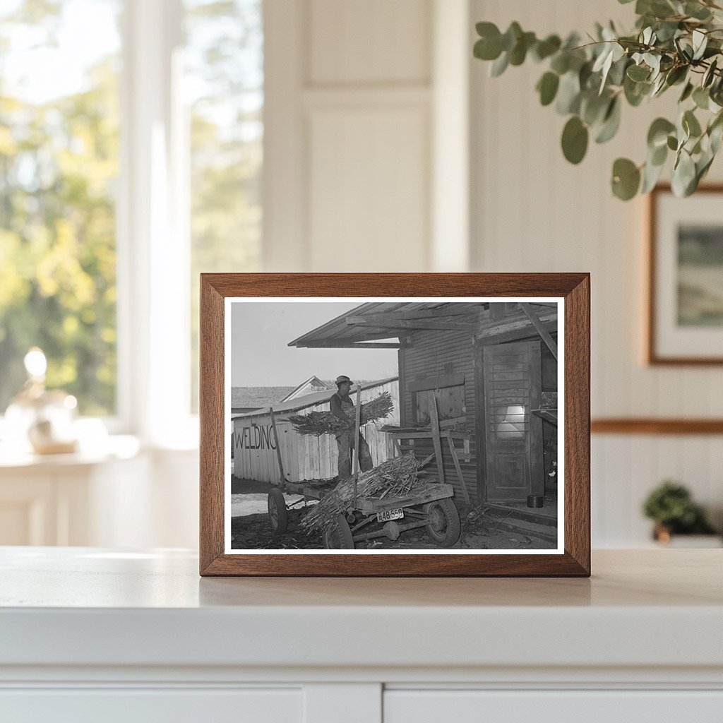 Farmer Unloading Corn at Feed Mill Taylor Texas 1939