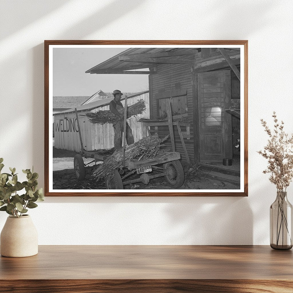 Farmer Unloading Corn at Feed Mill Taylor Texas 1939