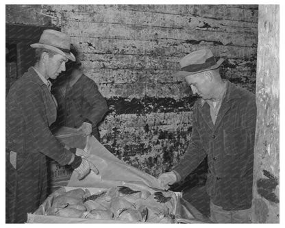 Workers Packing Turkeys at Cold Storage Plant 1939