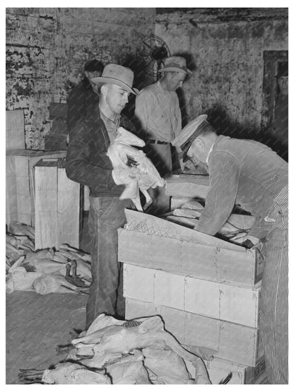 Turkey Packing Process at Cold Storage Plant Brownwood 1939