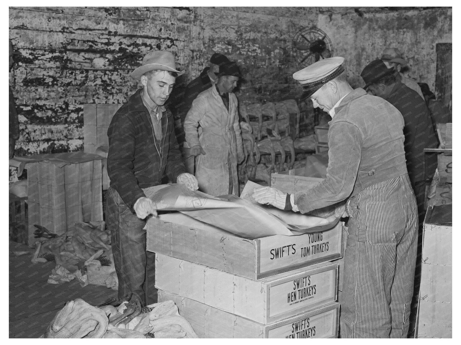 Workers Lining Boxes for Turkeys in Brownwood Texas 1939