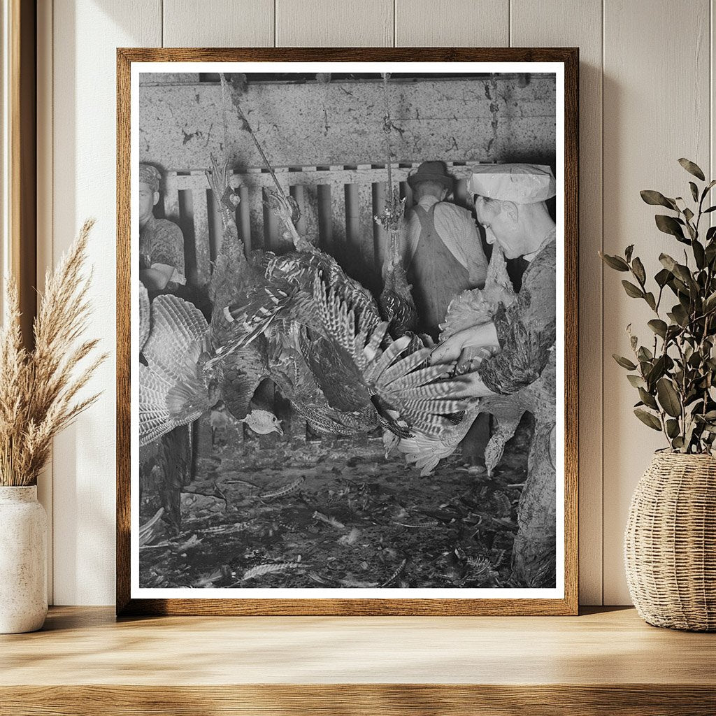 Turkey Processing at Cooperative Plant Brownwood Texas 1939