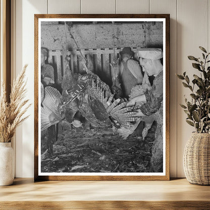 Turkey Processing at Cooperative Plant Brownwood Texas 1939