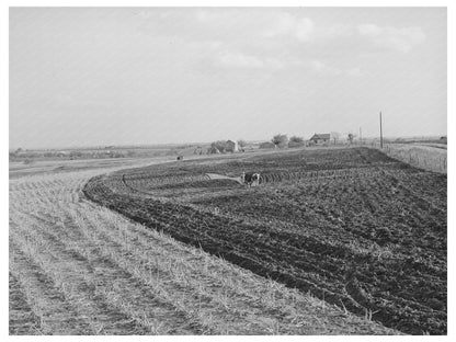 Fall Plowing in McLennan County Texas 1939