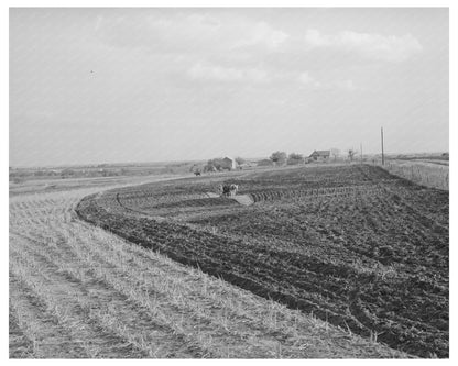 Freshly Plowed Cornfield in McLennan County Texas 1939