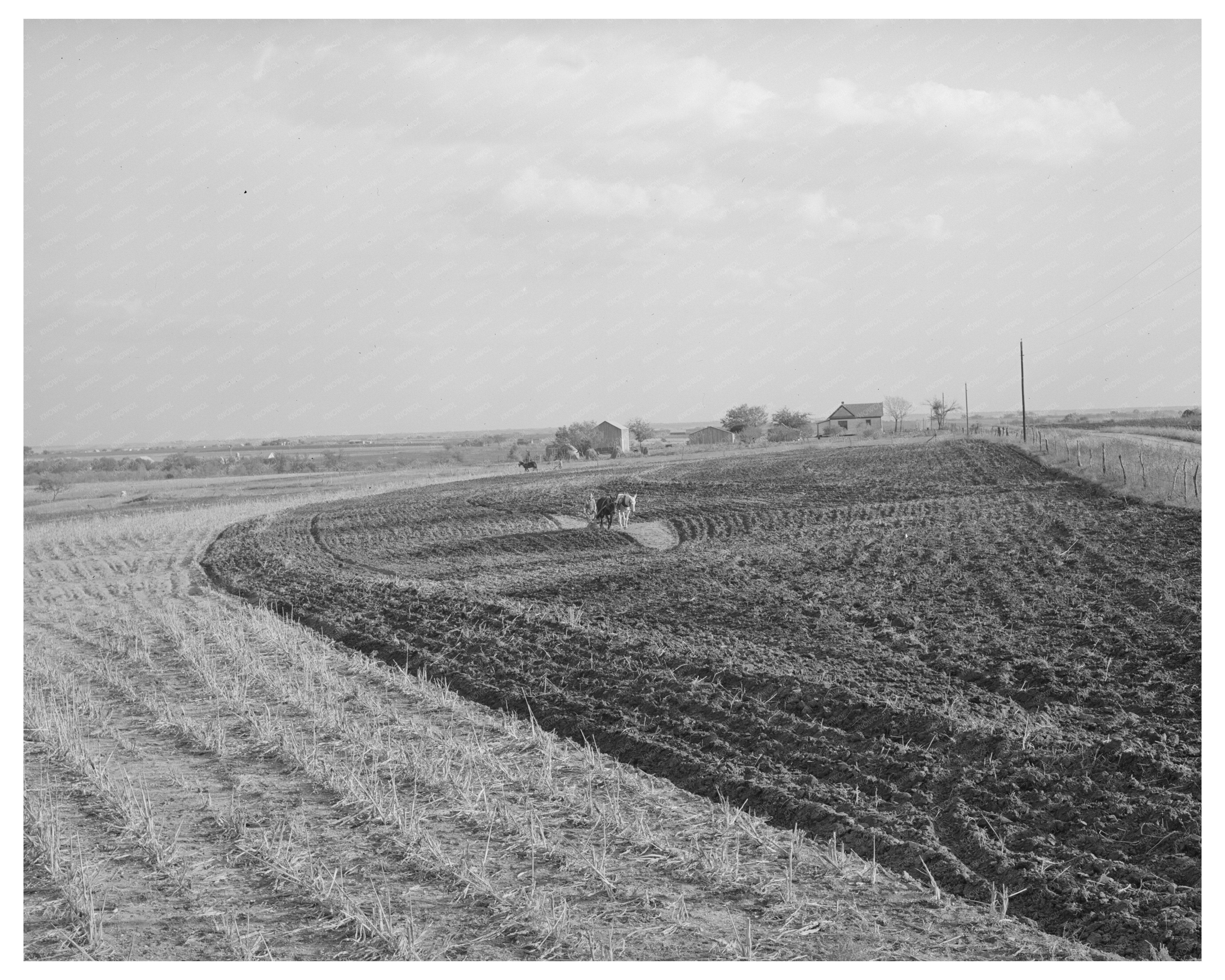 Freshly Plowed Cornfield in McLennan County Texas 1939