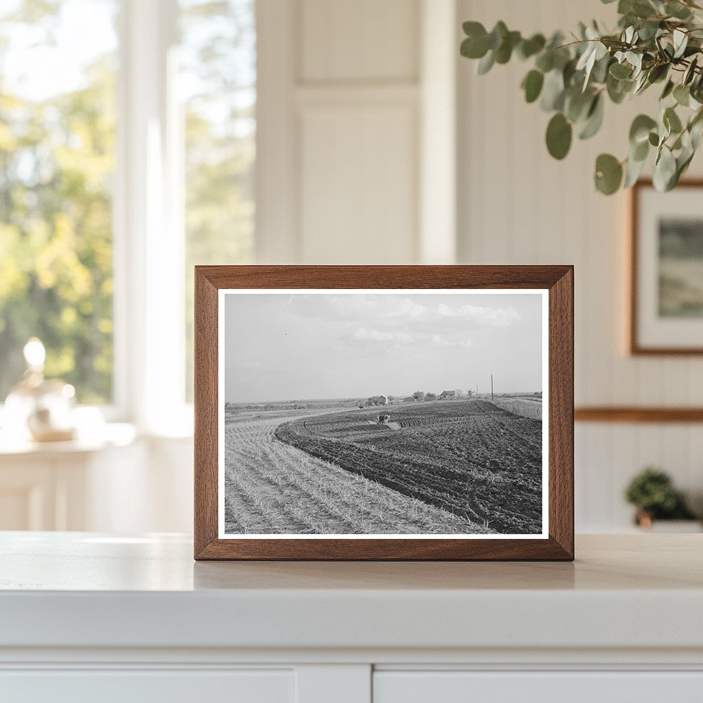 Freshly Plowed Cornfield McLennan County Texas 1939
