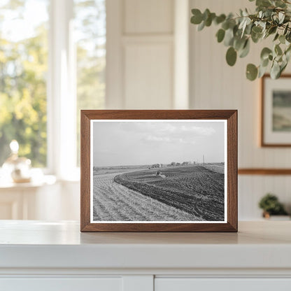 Freshly Plowed Cornfield McLennan County Texas 1939