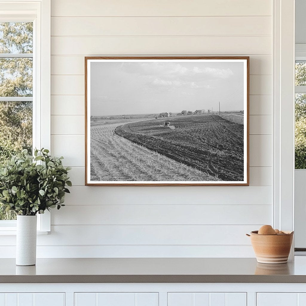 Freshly Plowed Cornfield McLennan County Texas 1939